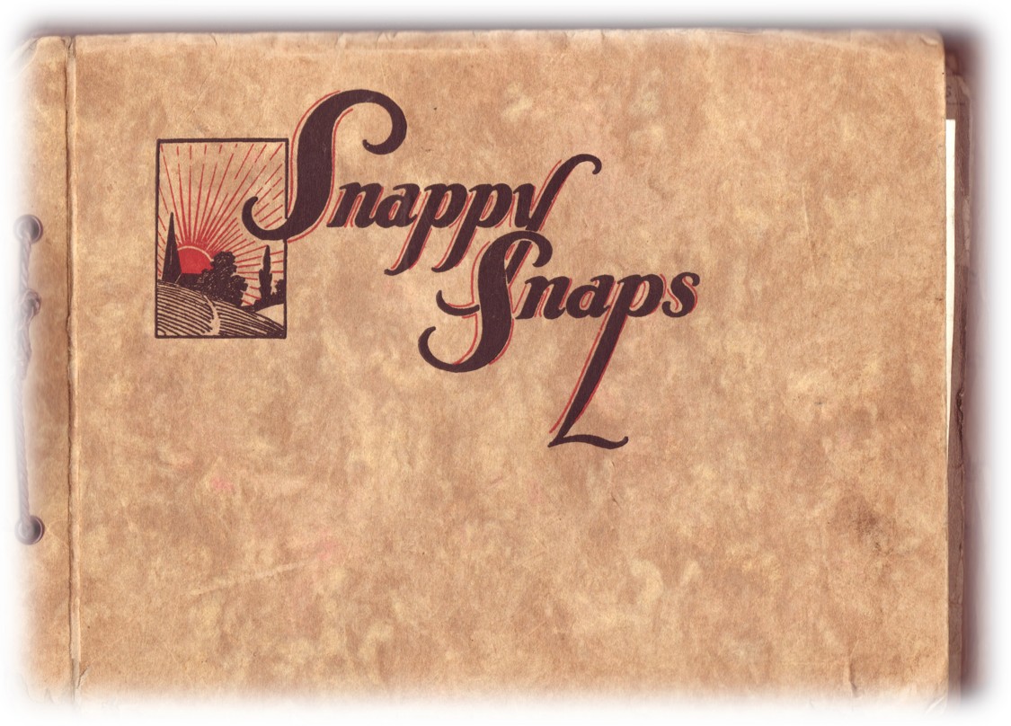 The family photograph album